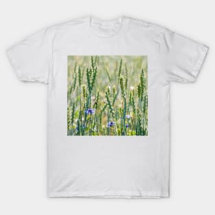 Cornflowers in a wheat field T-Shirt